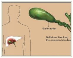 Slider image (5) Adiva | Super Speciality Care